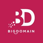 Big Domain logo